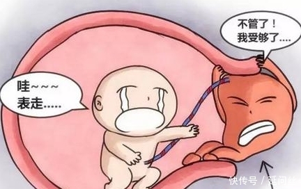 生完娃,胎盘都被谁吃了?听听产科大夫怎么说,答案超乎想象!
