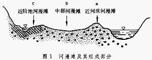 蹦跳的琼 馆藏分类从地貌上看,河漫滩是形成草甸的最佳地段(图1.