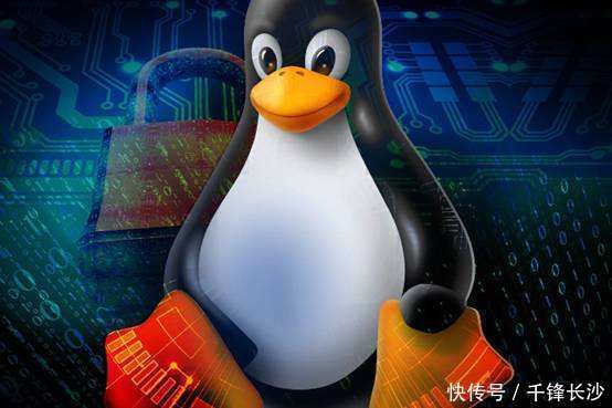 2019年linux云计算就业前景,云计算前景与网络