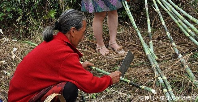 t01cafb935dc423287c.jpg?size=640x331