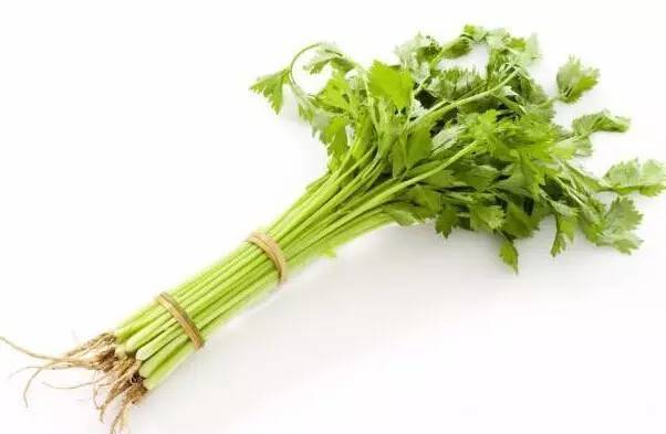 夏天没有冰箱怎么保鲜水果和蔬菜?专家偷偷告