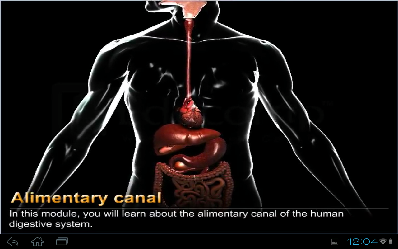 Human Digestive System截图1