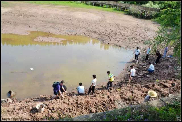 重庆新板块开发势头正旺 三月挺进照母山 \＂富人区\＂