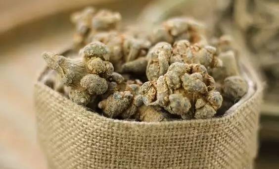 女人月经量少怎么办?三七粉帮你解决!