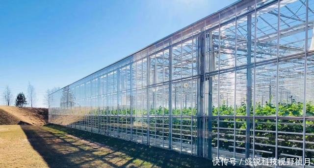 物业公司挣钱吗