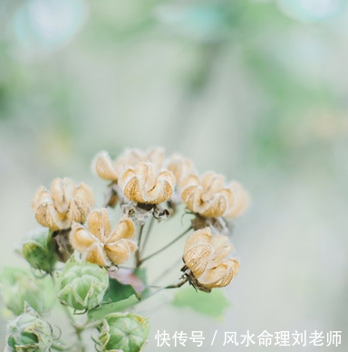 正财不显,偏财是比较旺的生肖男人 葡京真人app下载