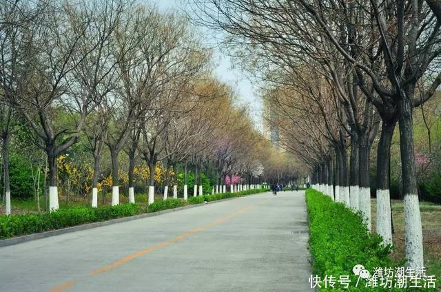 齐鲁高校看山东理工大学、齐鲁工业大学、青岛