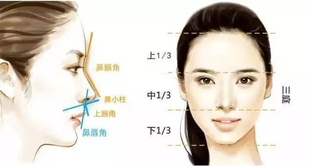 这些美鼻标准,你占几点?