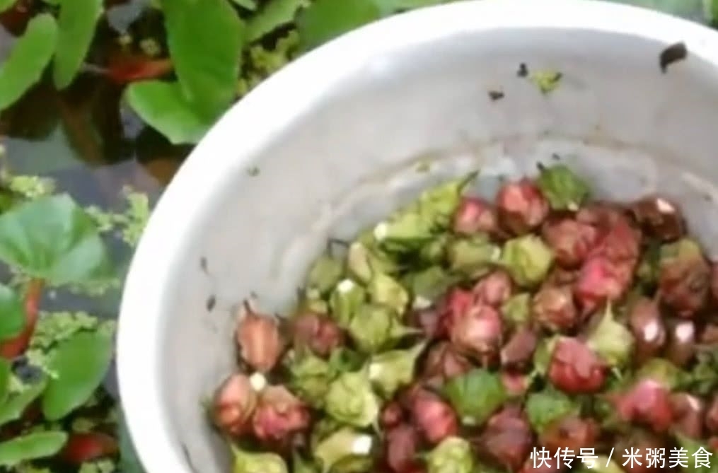 英国野生板栗“泛滥成灾”,乐坏了当地华人:做法千万别泄露了! yg电子娱乐