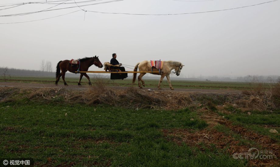 太会玩,这才是马车!河南老汉用俩马抬轿,路人欲