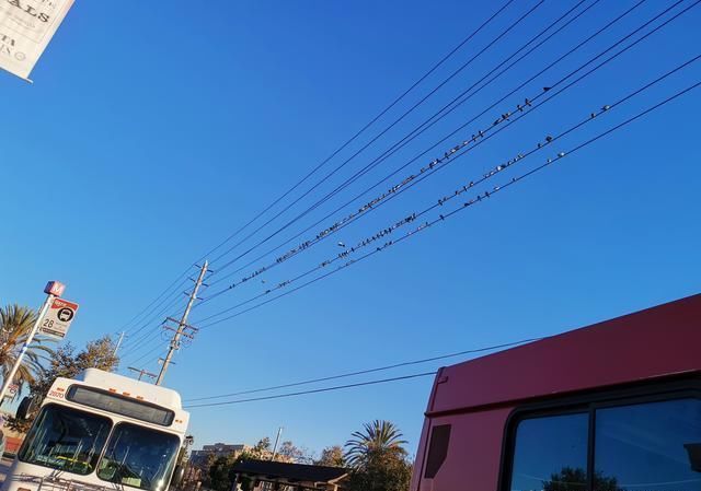 美国圣迭戈游学分享3