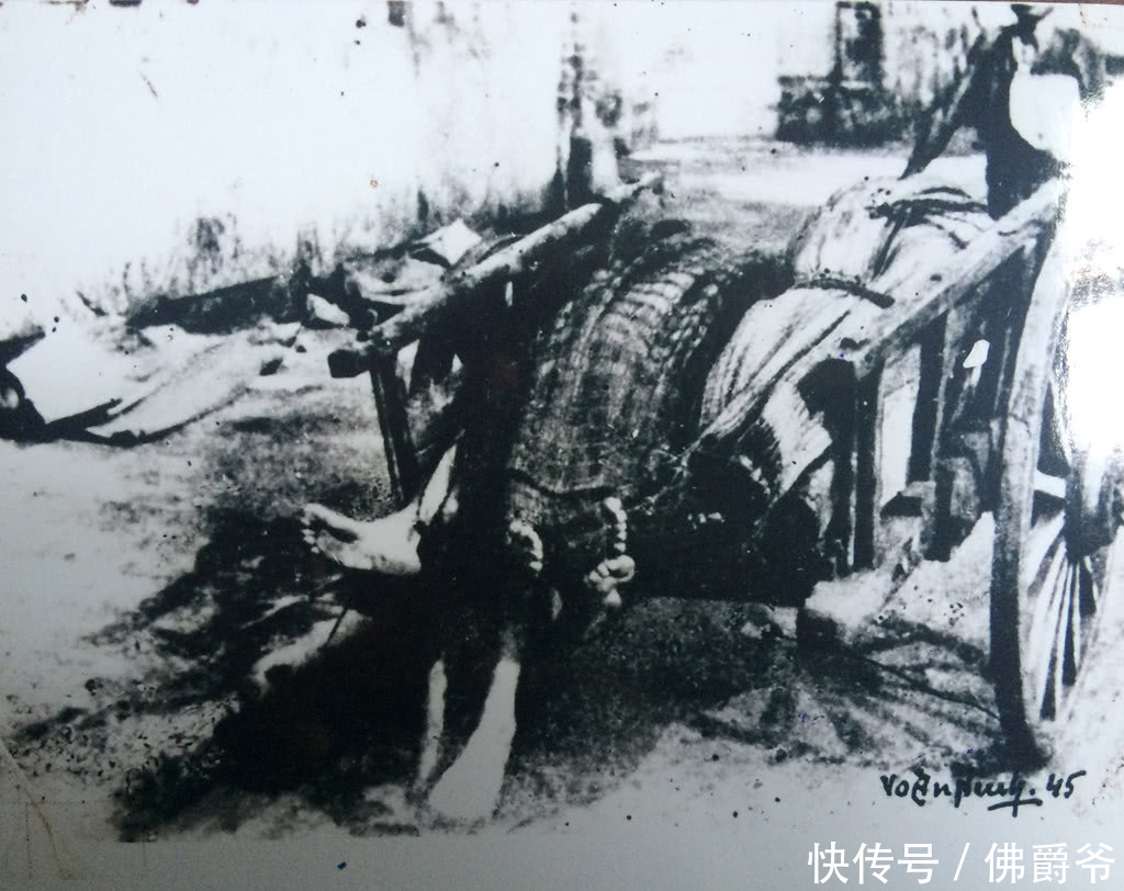 二战时日本侵略越南导致大饥荒，直接饿死200万越南人