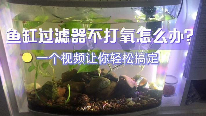 武漢賣觀賞魚的地方（武漢賣觀賞魚的地方有哪些）