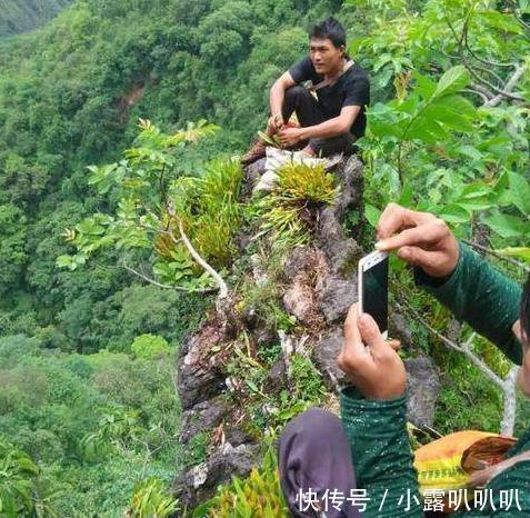 农民深山采蜂蜜，无意中看到悬崖上的植物，爬上去乐得合不拢嘴！