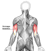 t01d24953882a017449.png