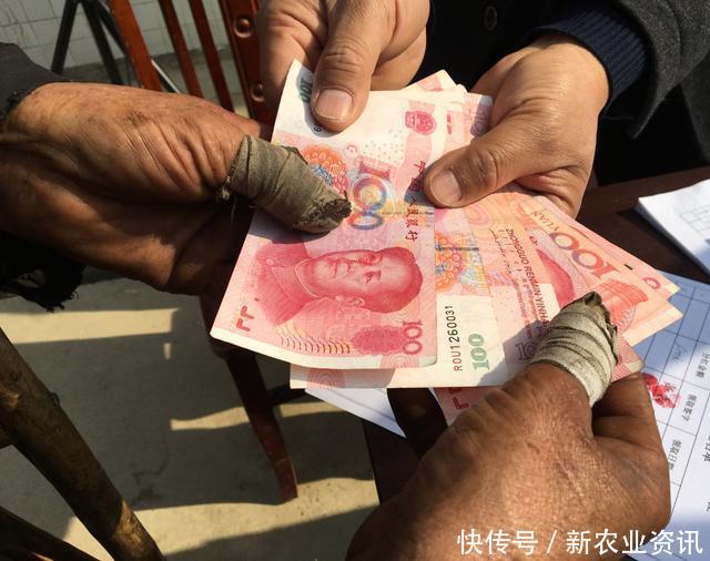 果农利用“滞销”博同情?事实曝光后,大家才知错怪农民了