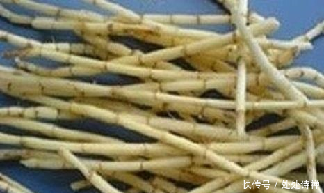 农村有天然的野生美味,漫山遍野的奇珍异宝,想想都值得回味