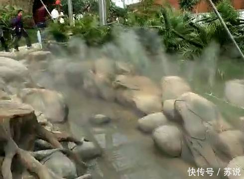 洋河农业嘉年华:打造乡村振兴示范区