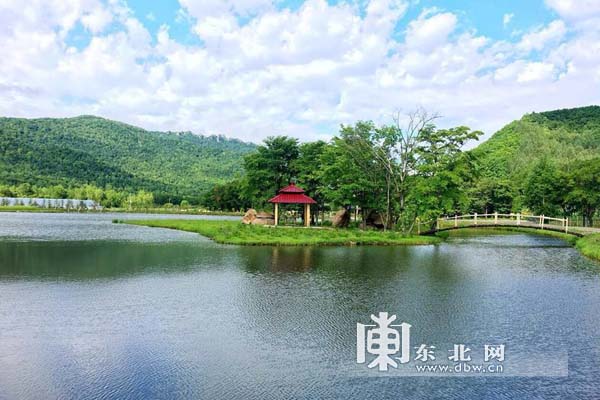 【早春走龙江】赴金山屯来一场原生态养生之旅