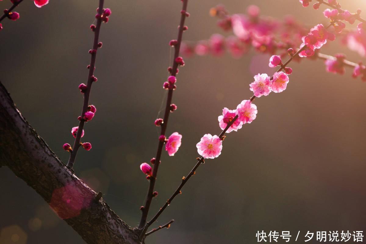 如何打造商业软件代码理想国!