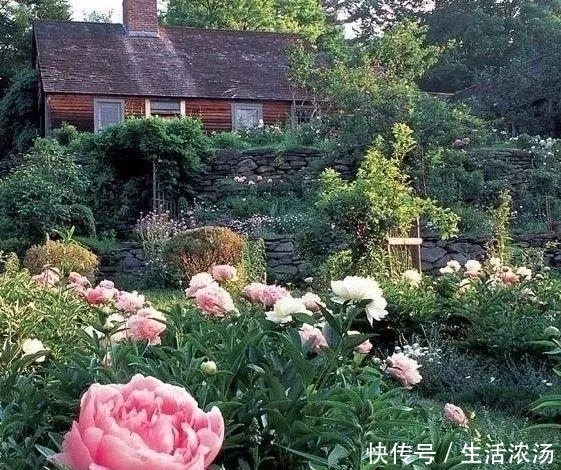 t01d6e5a046cbab2e5f.jpg?size=561x470