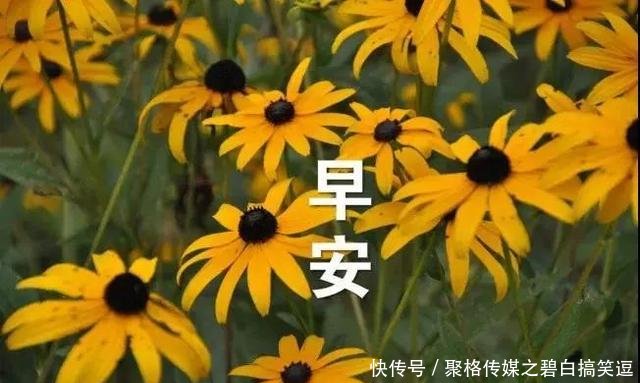 12月最新漂亮早上好图片表情的表情包38图片红包等待带字,最漂亮早晨图片