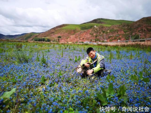 没有补习班的暑假:12岁孩子带着父亲去西藏,吃