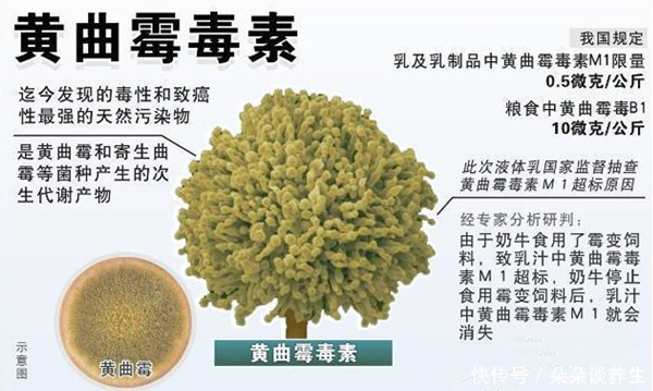 4岁男孩肝癌确诊到离世仅7个月，全因这种毒素，坚持两点很重要