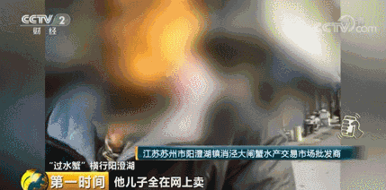 t01dc3772ce48d3296a.gif?size=429x212