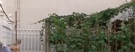 男子被小虫咬了一口几天后突然去世妻子我当时以为是普通虫子 亚洲城888