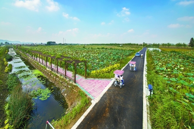 赏古镇金箔文化，尝农家八鲜美味发布时间:2018-04-26