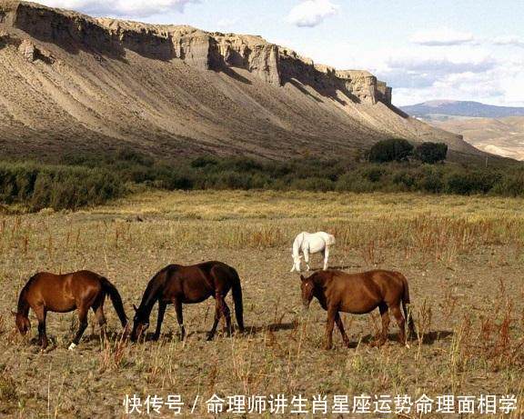 出生在这三天的生肖马，注定一生衣食无忧！