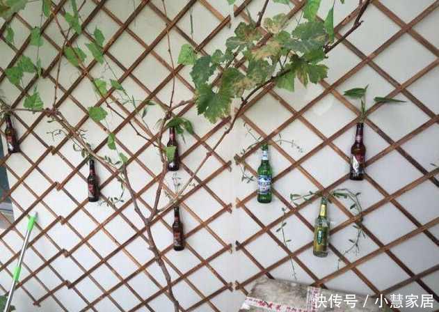 婚房老公装修的,爱喝酒有酒瓶阳台,爱打麻将有