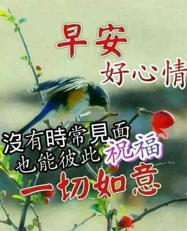 微信阳光暖心的v动画动画饼干表情,最美的早安diy图片包表情图片