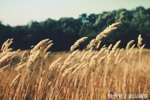 未来5年种植什么才能多补贴、多挣钱？里面都说了