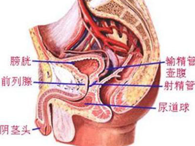 t01de0837ab23f5188c.jpg