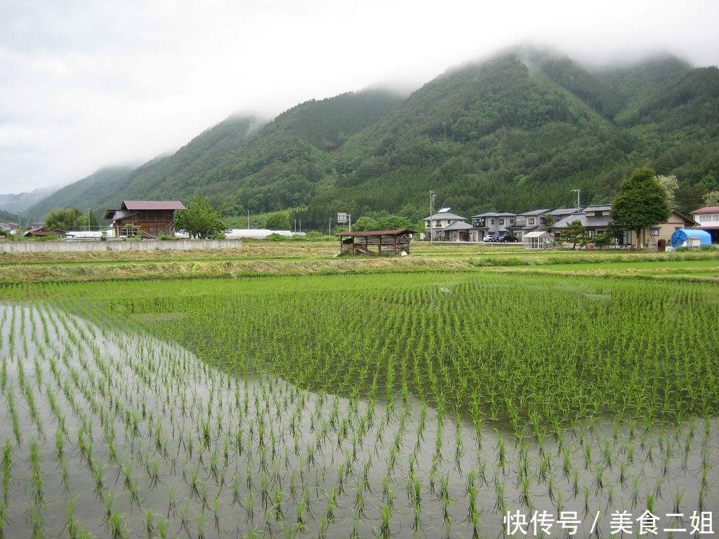 镜头下：日本真实的农村，中国农村再发展20年都赶不上