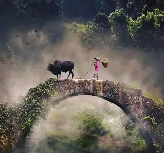 枯藤老树昏鸦 小桥流水人家 走一座桥 看一处风景 一座座古桥就如人间