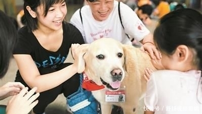 出勤是什么意思