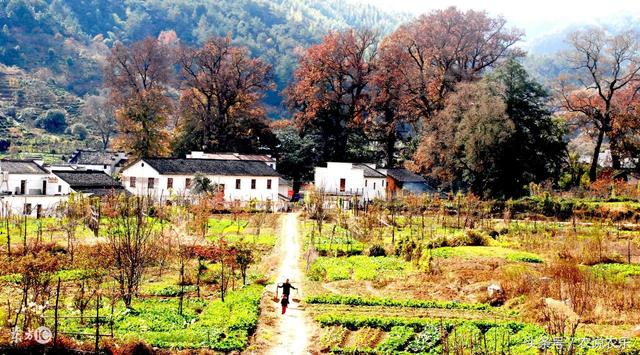 农村这些房屋将拆除,3类房屋领补贴,最高10万