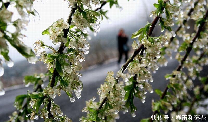 高处的桂林 广西桂林旅游散文随笔