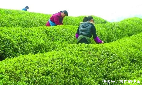 厉害了，河南这5个县市区被教育部点名，未来发展要逆天！