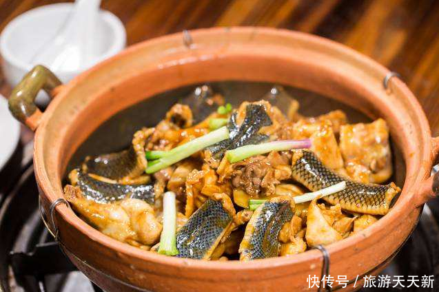 奇特美食之旅:湖北“龙凤配”VS广东“龙凤斗”,“龙”差很多