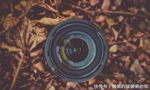 t01e917959619fdd94f.jpg