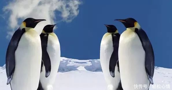 全世界最棒的十种思维