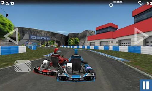 卡丁车锦标赛2012 Championship Karting 2012截图2