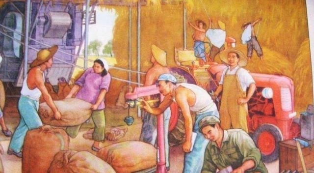 什么是农村合作社