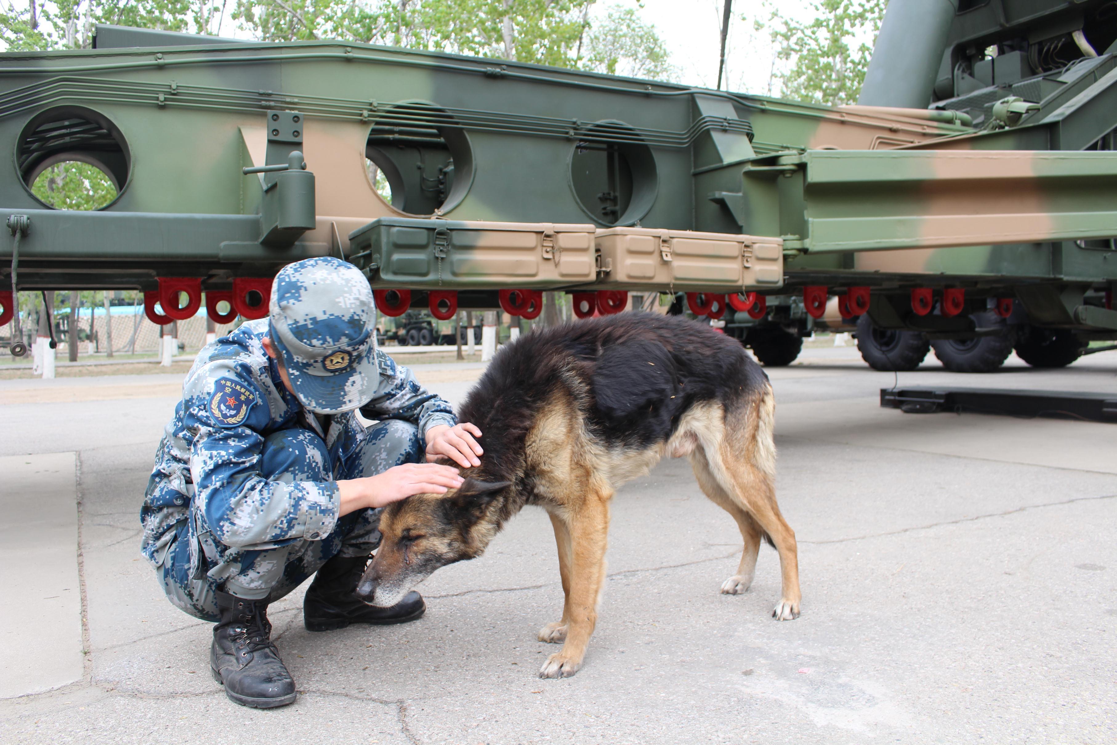 t01eb11b36b3b7fa047.jpg?size=3628x2419