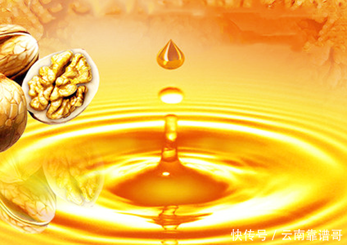 核桃油价格多少钱一斤合理?千万别贪便宜,核桃