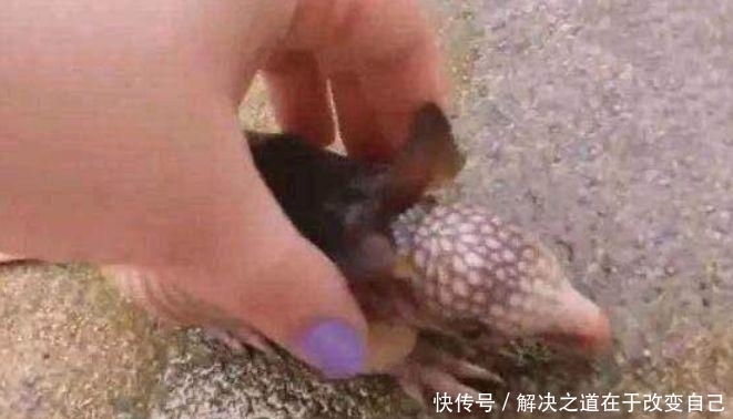 女子挖土发现一只“老鼠”, 清理干净后,女子不淡定了 澳门星际国际官网